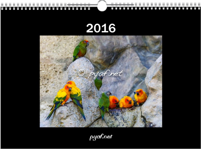Calendrier pyaf.net 2016 011