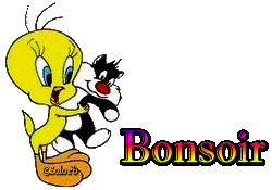 Bonjour / bonsoir de Janvier  - Page 4 Bs1267