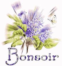 Bonjour / bonsoir de Janvier  Bs864