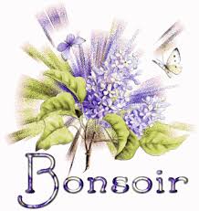 Bonjour / bonsoir de Janvier  - Page 6 Bs865