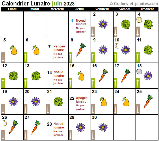 JARDINER avec la LUNE 2023 (Calendrier lunaire)   Calend41