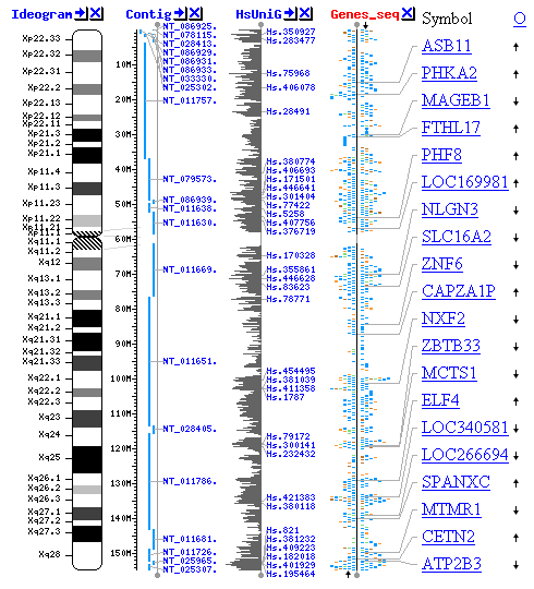 Bonjour -bonsoir d'Avril - Page 6 Genome10