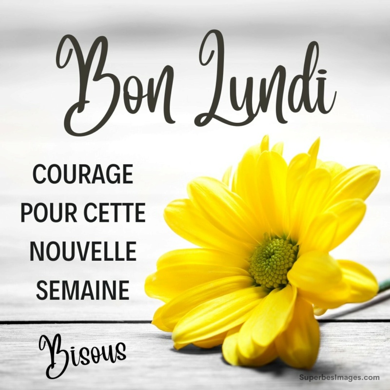 Bonjour / Bonsoir d' Octobre Lundi_26