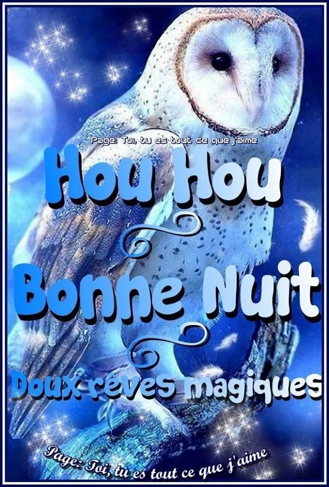 Bonjour / bonsoir de Janvier  - Page 3 N1415