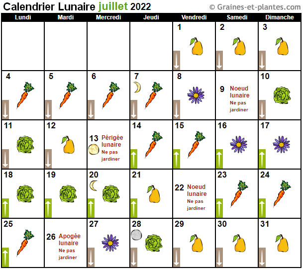 JARDINER avec la LUNE 2022 (Calendrier lunaire)  Zz511