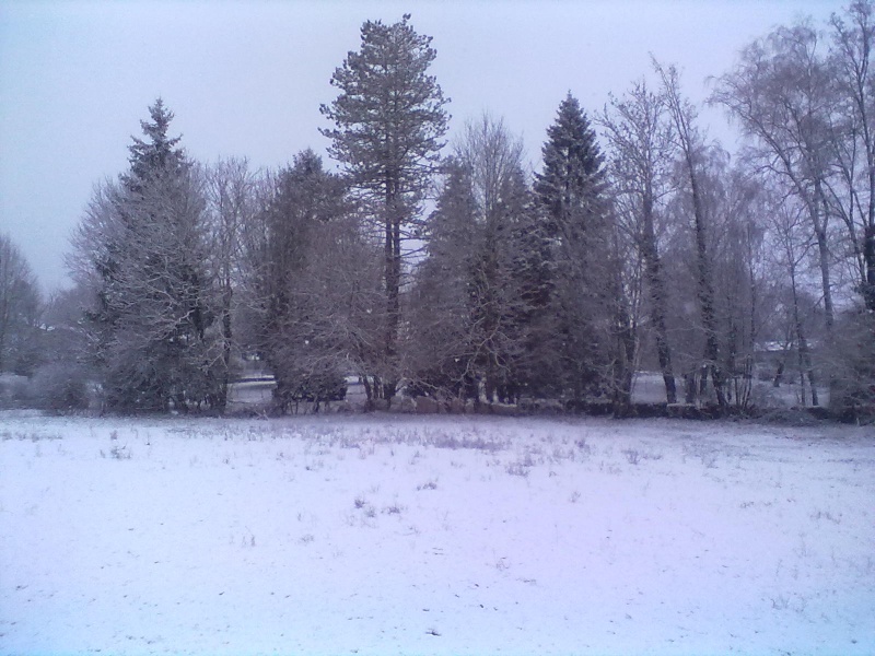 1ère neige...... Janvie10