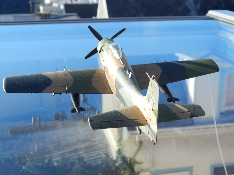 Skyraider - Hasegawa 1/72 Dscn3214