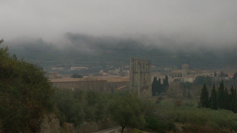 Balade et reco samedi 5/12 : Maleperre & Corbières occidentales Dsc_0814