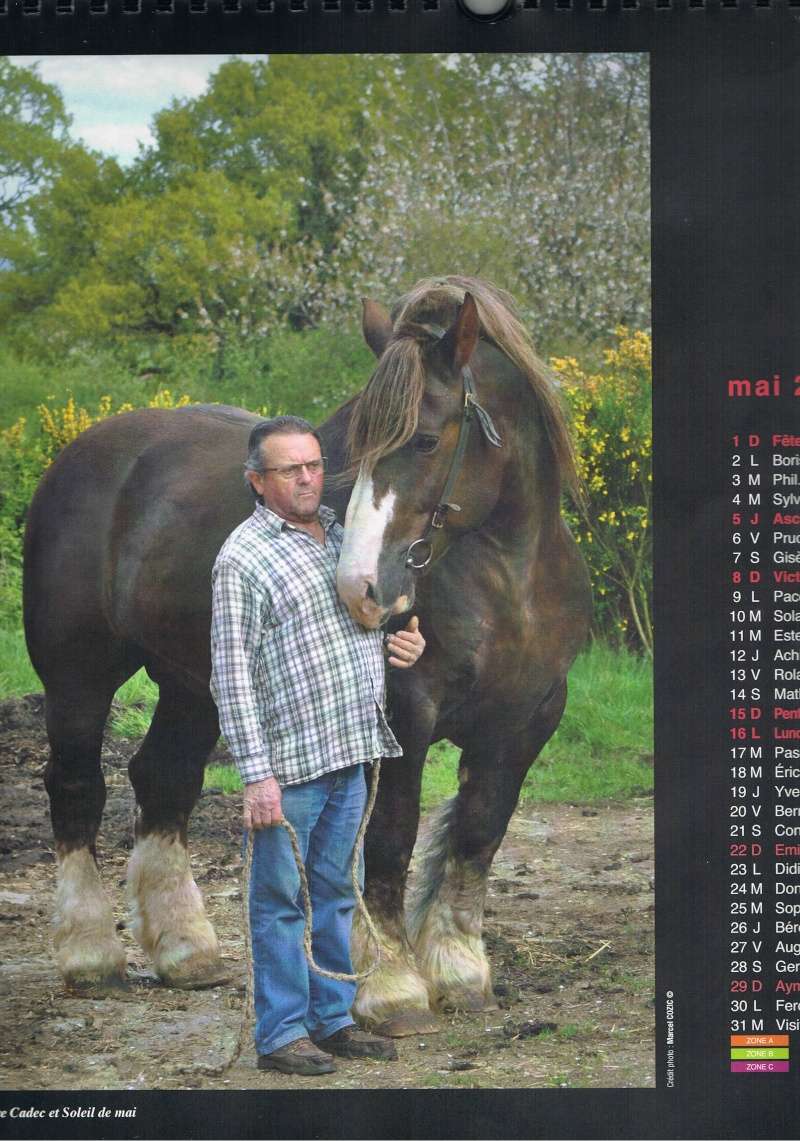 Bonnes fêtes de fin d'année 2015 et bonne année 2016 - Page 2 Ccf24131