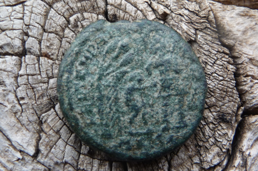 Moyen bronze du IV ème siècleà identifier svp 4c45e412