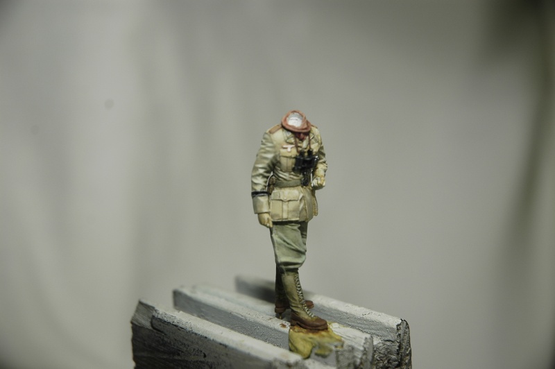 Officier DAK Alpine 1/35 Offici10