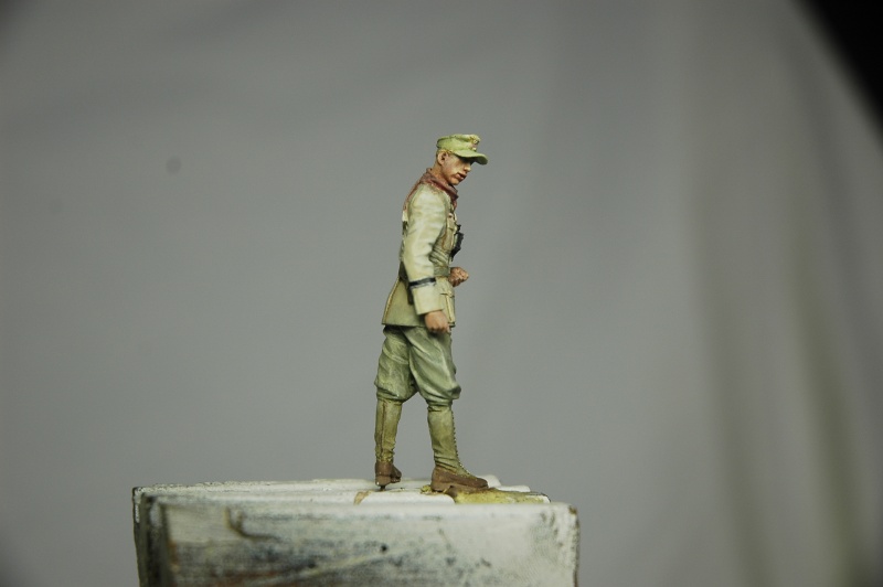 Officier DAK Alpine 1/35 - Page 2 Offici13