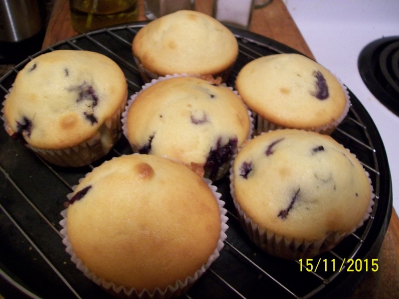Muffins à la farine de maïs et bleuets 2015-116