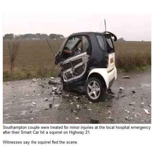 What happens to a Smart Car when it hits a squirrel Smart_10