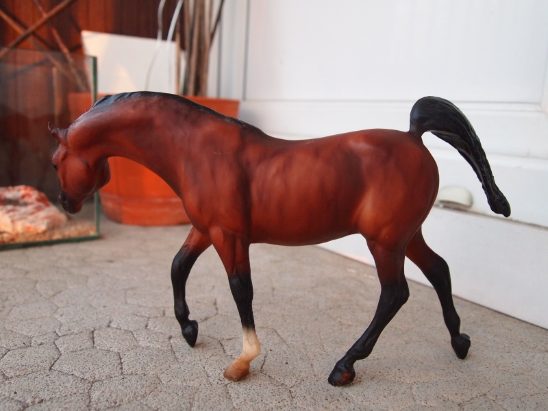 BREYER Paso péruvien rouan Pc093615