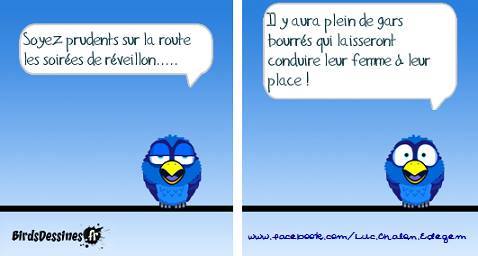 [humour] le topic des bonnes blagues - Page 4 Bird_d10