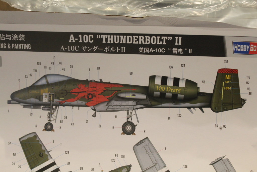 [Hobby Boss] 1/48 - Fairchild A-10C Thunderbolt II "Warthog"   Img_1395