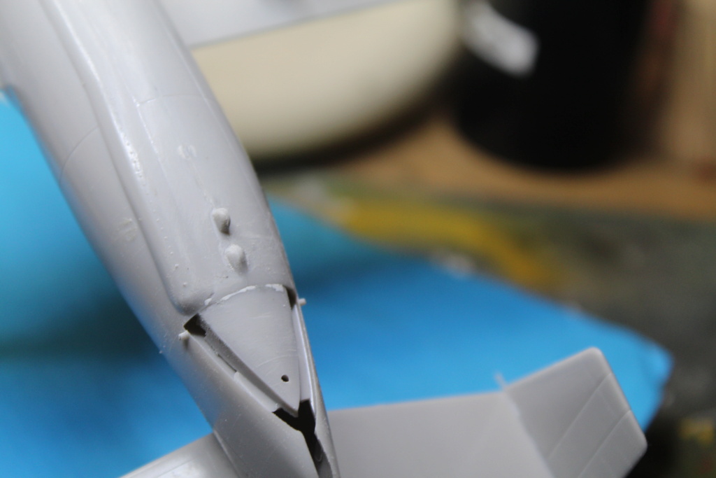 Grumman E-2C Hawkeye Mexican Navy (Fujimi 1/72) - Page 4 Img_2098