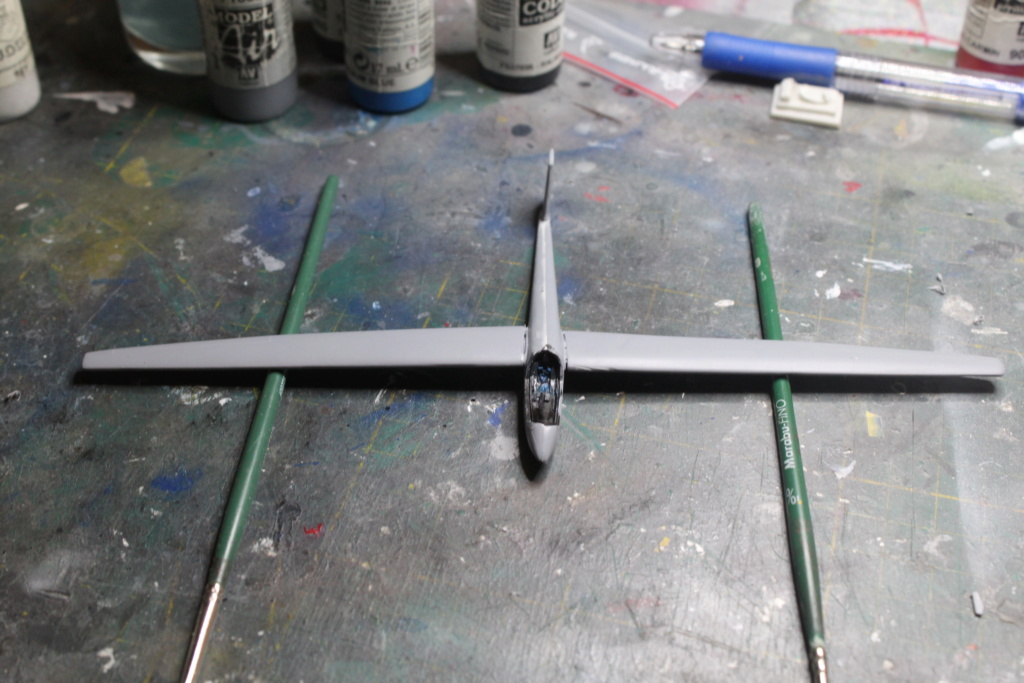 1/72 Astir cs-77 Belgian air cadets KP Img_6245