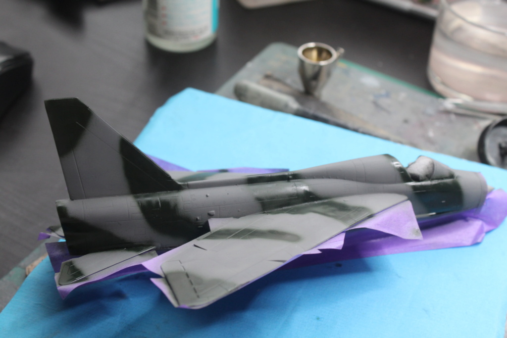1/72 E.E. Lightning T5 Sword - Page 2 Img_7949