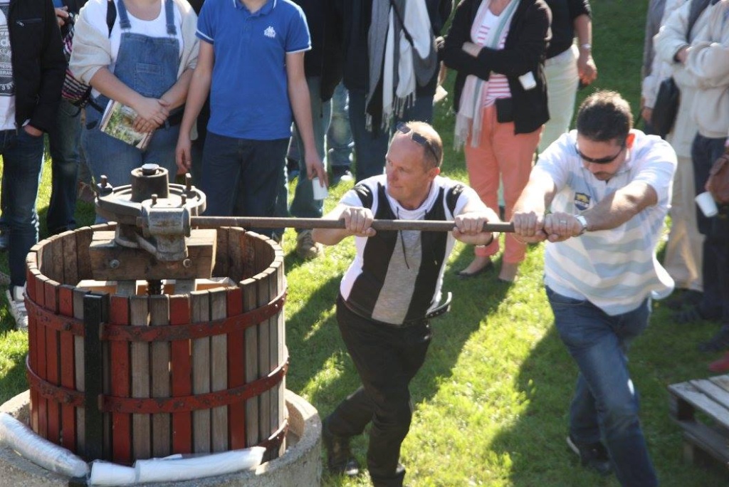 Fête de la vigne, archéo'site Les Rues des Vignes 09/2015 12045210