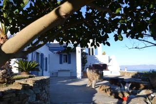 Notre MAISON à SYROS 2016-016