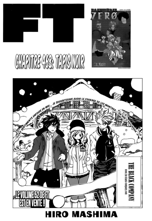 Fairy Tail Chapitre n°463 Ft11