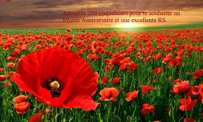 Joyeux Anniversaire Apeupres Joyeux Anniversaire Apeupres