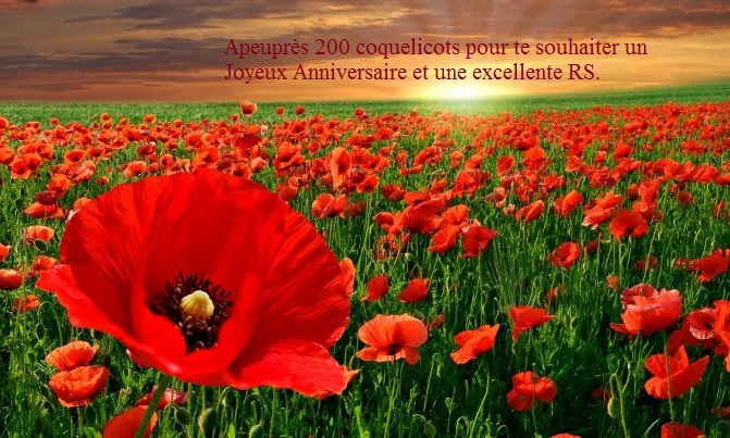 anniversaire - Joyeux Anniversaire  àpeuprès Coquel10