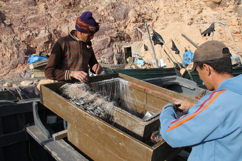 Le Maroc, févier 2012 . 1066_f11