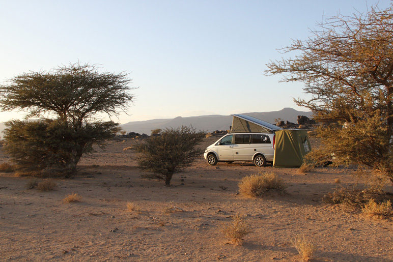 Le Maroc, févier 2012 . 1550_f10