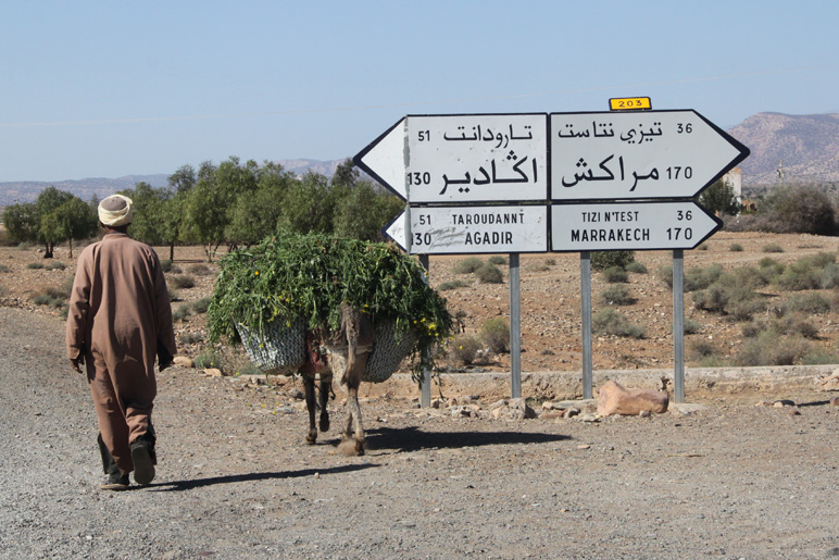 Le Maroc, févier 2012 . 5086_f10