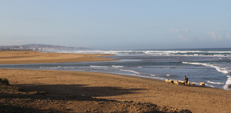 Le Maroc, févier 2012 . 5900_f10