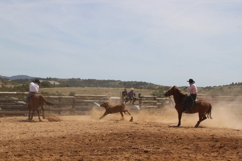 Du Causse noir et des cowboys . Mess_214