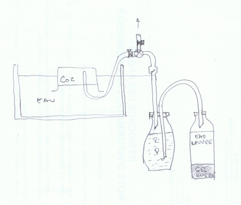 artisanal - Mon petit 50 Litres Co2 Artisanal  - Page 2 Co2_sh10