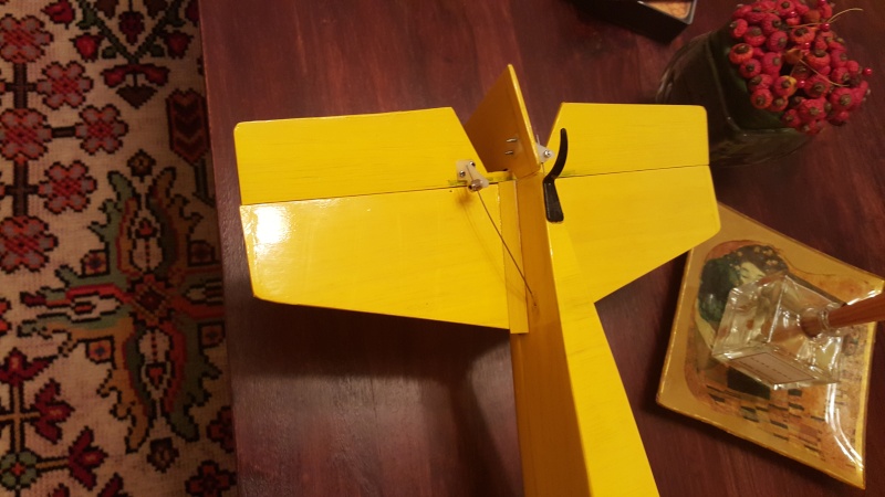 My new Canary Canary11