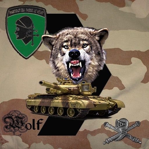 Peloton Wolf du 501° RCC 3° Escadron sur WoT Peloto13