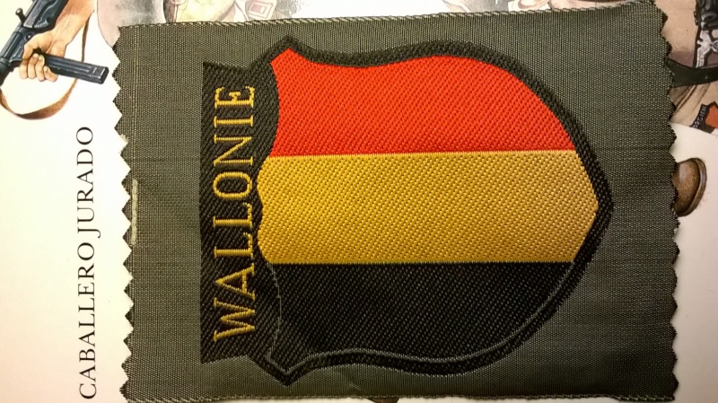 Identification insigne BEVO "Wallonie" Insign13