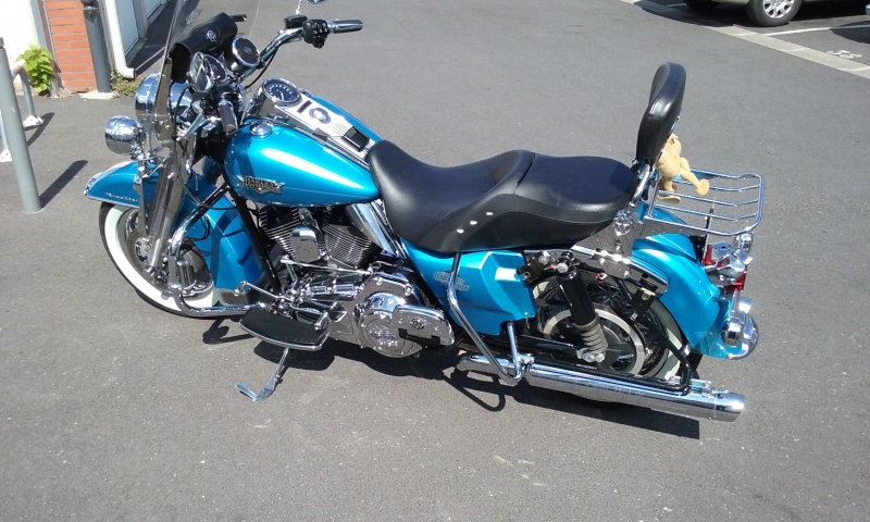 sissy bar Road king 20150712
