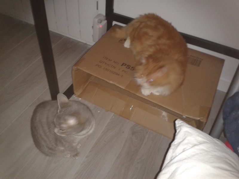 Chuck en FA 2015-118