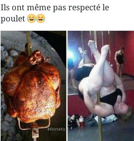 humour - Page 3 12246910