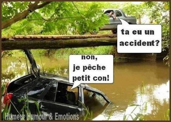 humour - Page 17 12346510
