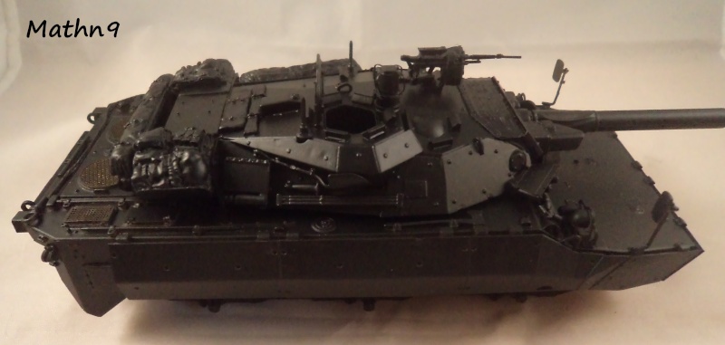 AMX 10RCR [Tiger model 1/35] + Ajouts Blast Model -Terminé- Dsc03610