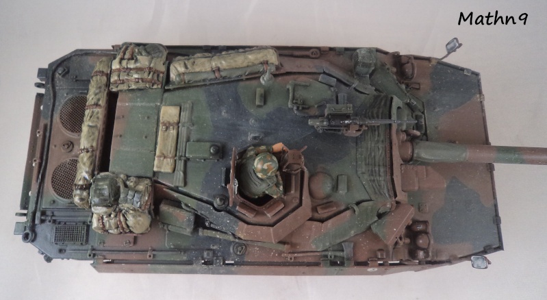 AMX 10RCR [Tiger model 1/35] + Ajouts Blast Model -Terminé- Dsc03627