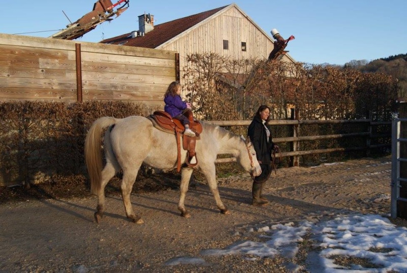 Vulcan of the Rock, étalon appaloosa - Page 5 12605510