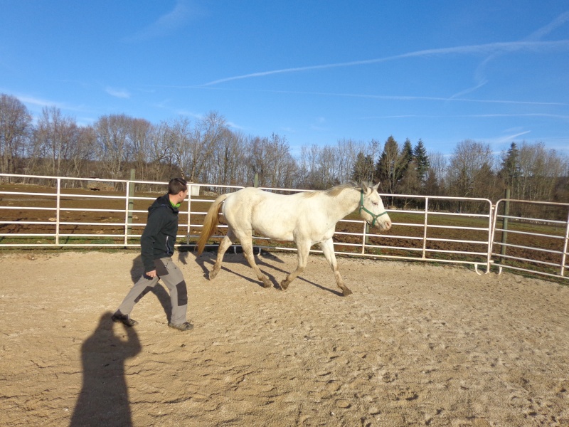 Vulcan of the Rock, étalon appaloosa - Page 3 Dsc08720