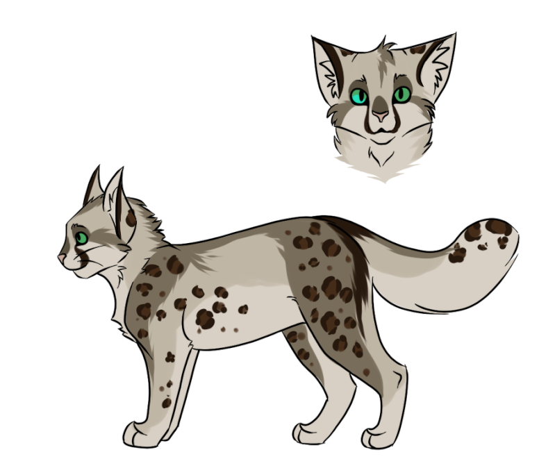 Warrior Cats ~ A new game Charan10