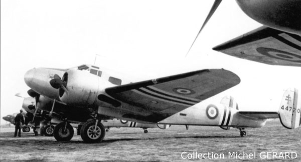 C-45F Expeditor - FAFL 1944 10070910