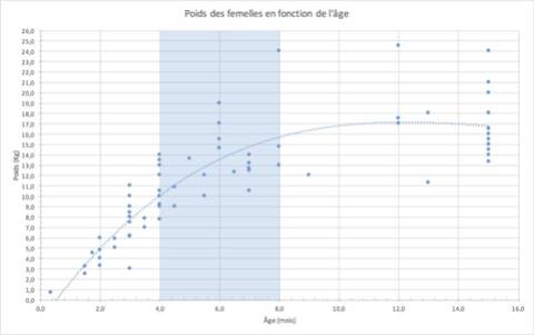 Arbre De Croissance Du Donnees Des Forumiens