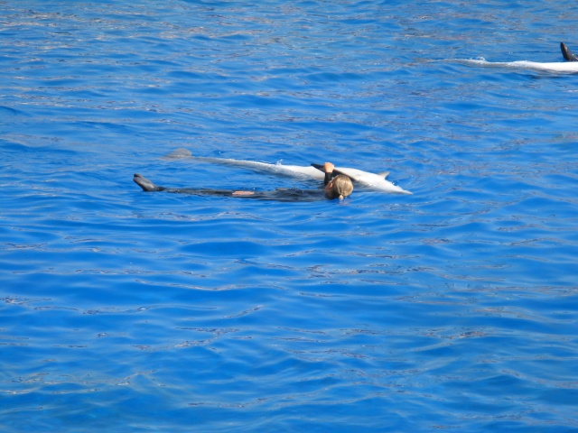 Promenade au marineland d'antibes Nice0113